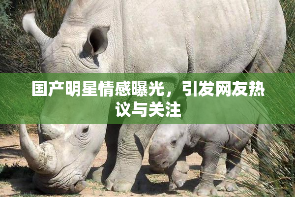 国产明星情感曝光，引发网友热议与关注