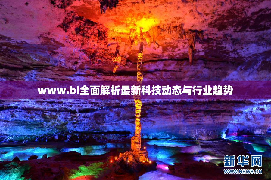 www.bi全面解析最新科技动态与行业趋势