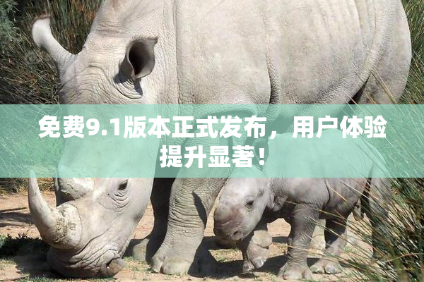 免费9.1版本正式发布，用户体验提升显著！