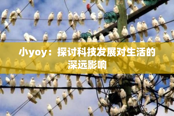 小yoy：探讨科技发展对生活的深远影响