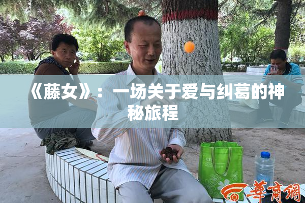 《藤女》：一场关于爱与纠葛的神秘旅程