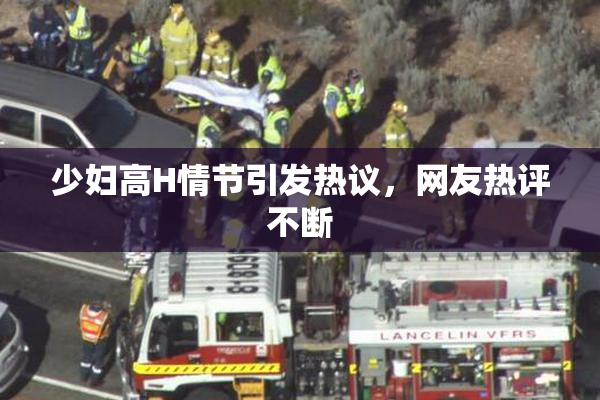 少妇高H情节引发热议，网友热评不断