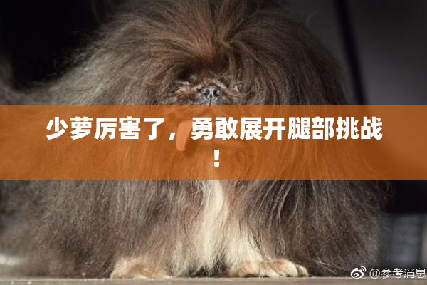 少萝厉害了，勇敢展开腿部挑战！