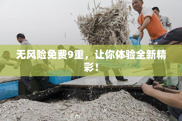 无风险免费9重，让你体验全新精彩！