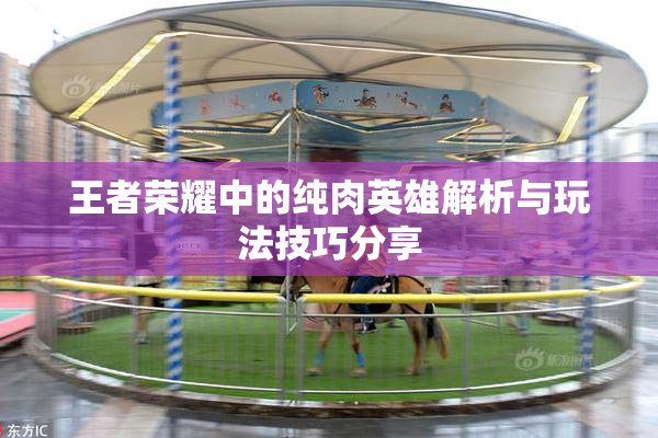 王者荣耀中的纯肉英雄解析与玩法技巧分享