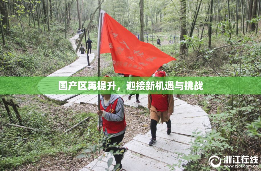 国产区再提升，迎接新机遇与挑战