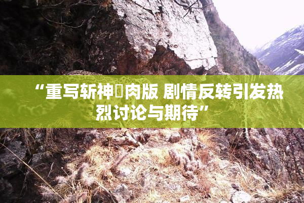 “重写斩神婬肉版 剧情反转引发热烈讨论与期待”