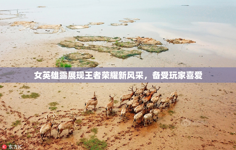 女英雄露展现王者荣耀新风采，备受玩家喜爱