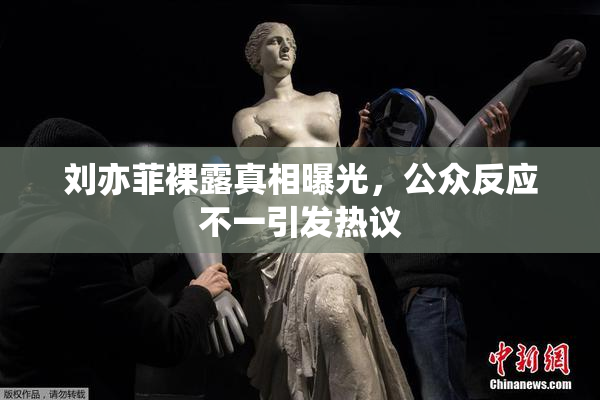 刘亦菲裸露真相曝光，公众反应不一引发热议
