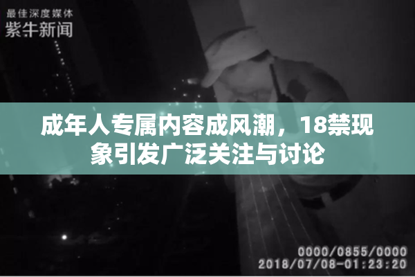 成年人专属内容成风潮，18禁现象引发广泛关注与讨论