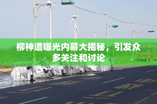 柳神遭曝光内幕大揭秘，引发众多关注和讨论