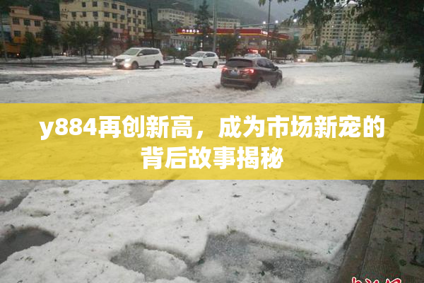 y884再创新高，成为市场新宠的背后故事揭秘