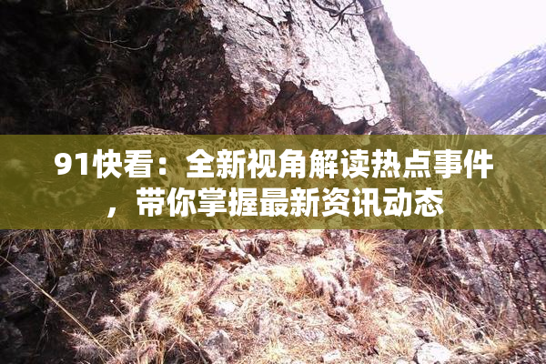 91快看：全新视角解读热点事件，带你掌握最新资讯动态