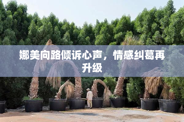 娜美向路倾诉心声，情感纠葛再升级