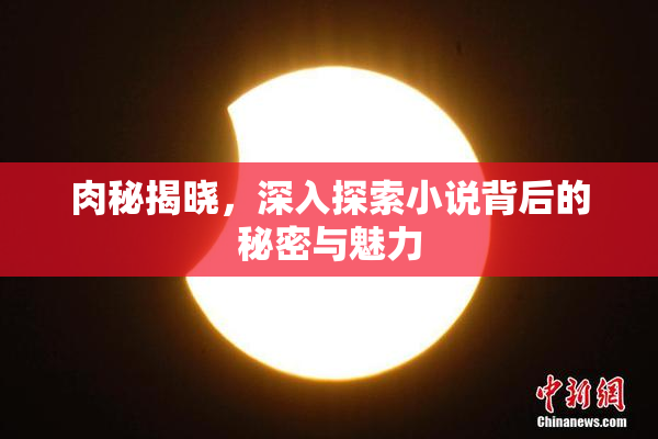 肉秘揭晓，深入探索小说背后的秘密与魅力