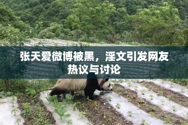 张天爱微博被黑，淫文引发网友热议与讨论