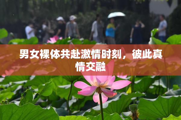 男女裸体共赴激情时刻，彼此真情交融