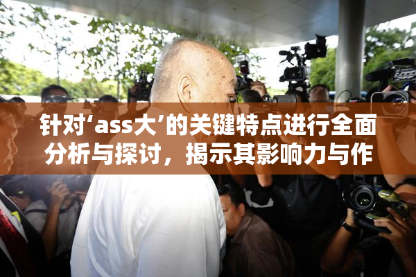 针对‘ass大’的关键特点进行全面分析与探讨，揭示其影响力与作用。
