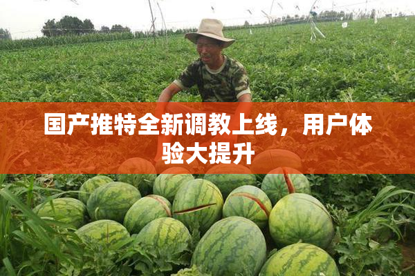 国产推特全新调教上线，用户体验大提升