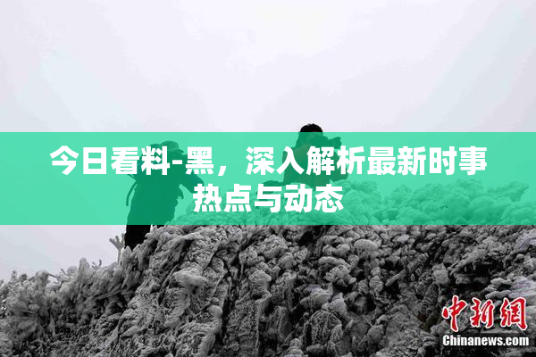 今日看料-黑，深入解析最新时事热点与动态