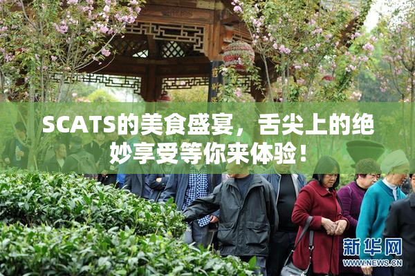 SCATS的美食盛宴，舌尖上的绝妙享受等你来体验！