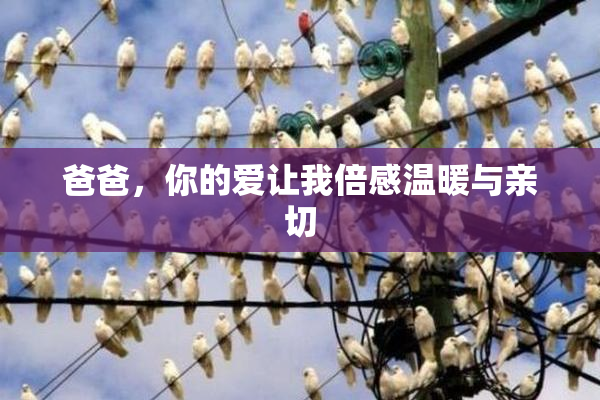 爸爸，你的爱让我倍感温暖与亲切