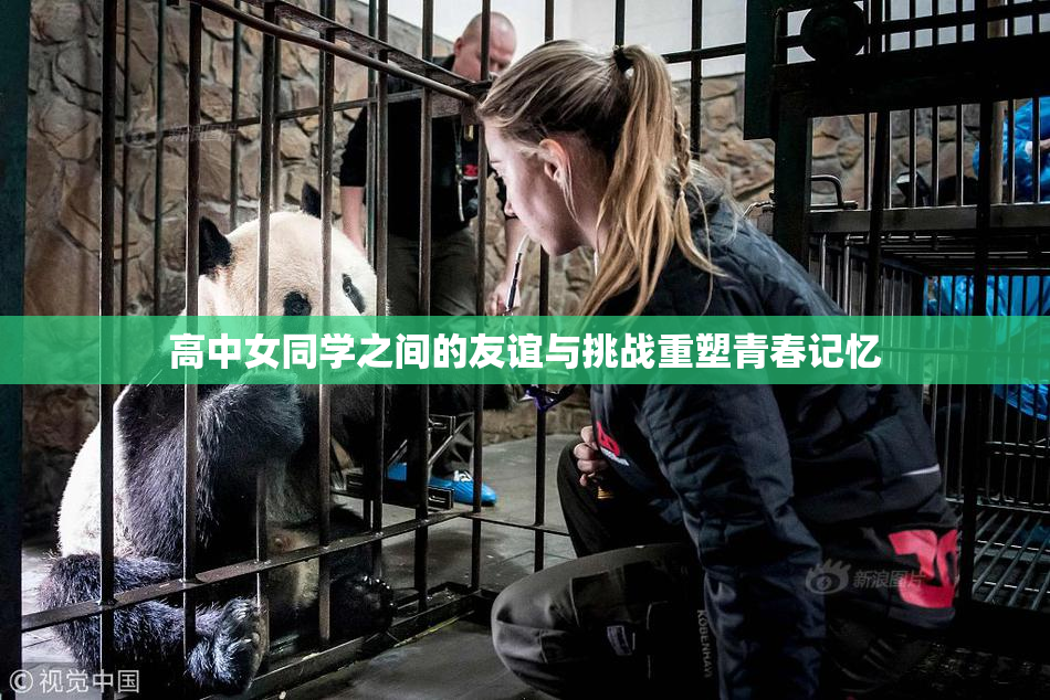 高中女同学之间的友谊与挑战重塑青春记忆