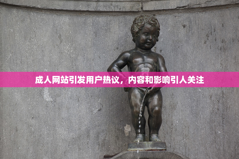 成人网站引发用户热议，内容和影响引人关注