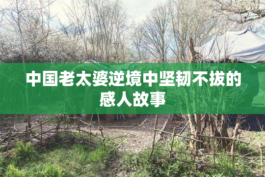 中国老太婆逆境中坚韧不拔的感人故事