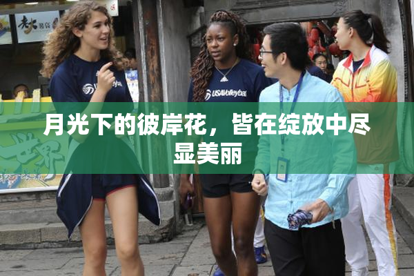 月光下的彼岸花，皆在绽放中尽显美丽