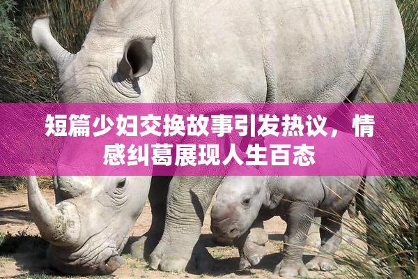 短篇少妇交换故事引发热议，情感纠葛展现人生百态