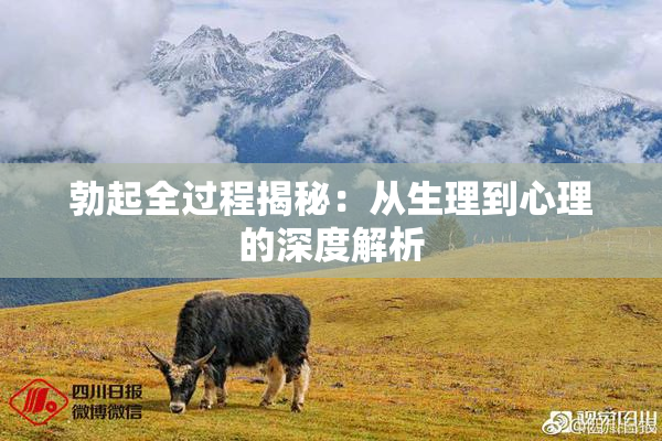 勃起全过程揭秘：从生理到心理的深度解析