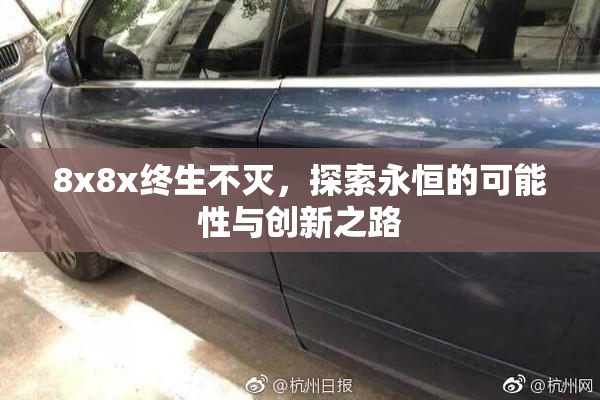 8x8x终生不灭，探索永恒的可能性与创新之路