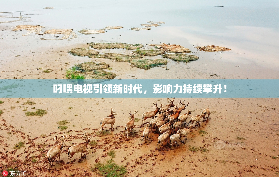 叼嘿电视引领新时代，影响力持续攀升！