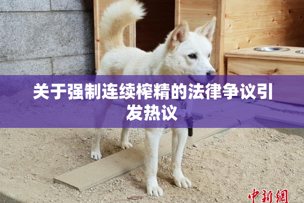 关于强制连续榨精的法律争议引发热议