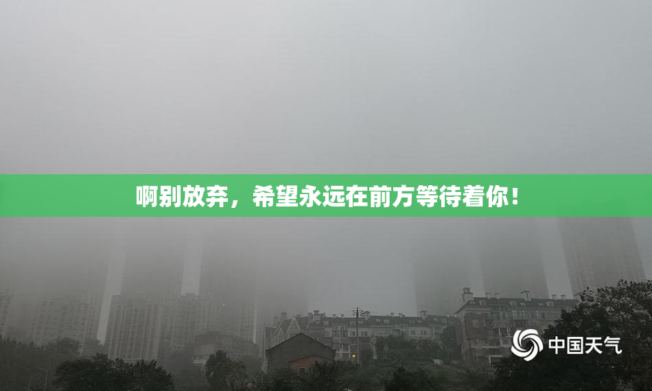 啊别放弃，希望永远在前方等待着你！