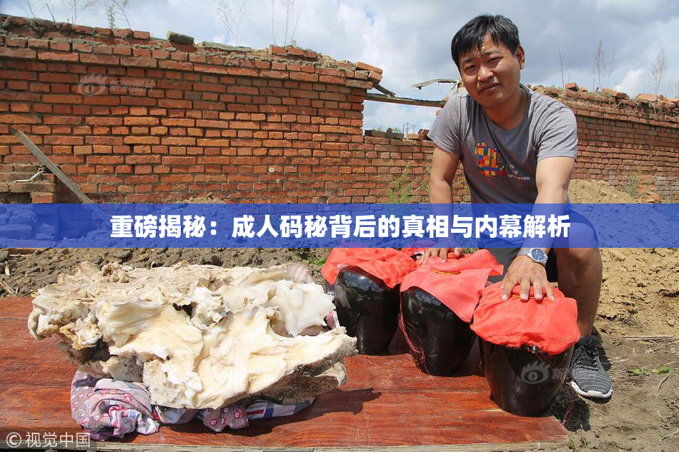重磅揭秘：成人码秘背后的真相与内幕解析