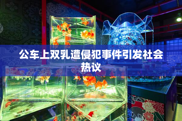 公车上双乳遭侵犯事件引发社会热议