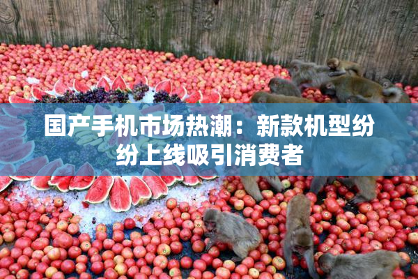 国产手机市场热潮：新款机型纷纷上线吸引消费者