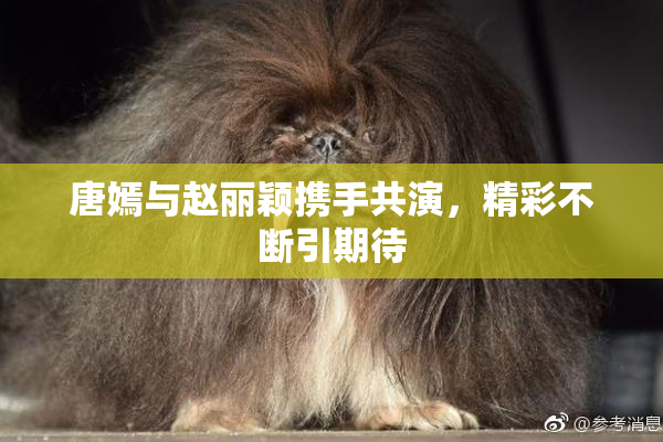 唐嫣与赵丽颖携手共演，精彩不断引期待