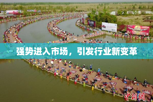 强势进入市场，引发行业新变革