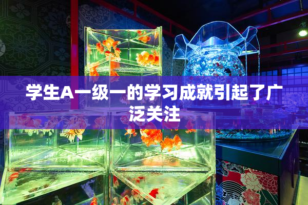 学生A一级一的学习成就引起了广泛关注