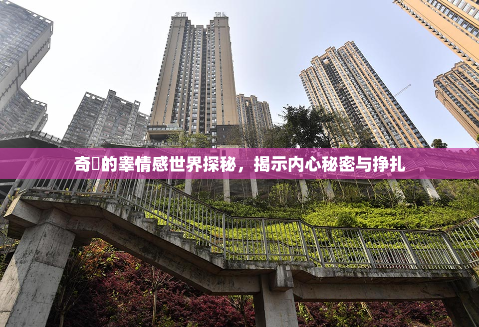 奇犽的睾情感世界探秘，揭示内心秘密与挣扎