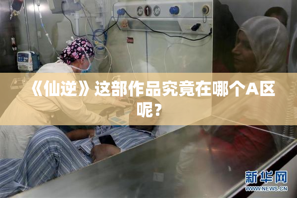 《仙逆》这部作品究竟在哪个A区呢？