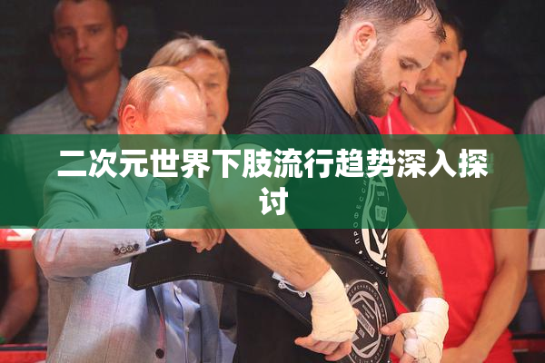 二次元世界下肢流行趋势深入探讨
