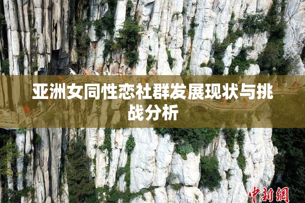 亚洲女同性恋社群发展现状与挑战分析