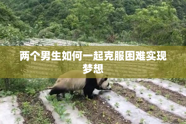 两个男生如何一起克服困难实现梦想