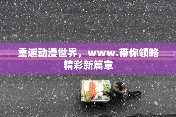 重返动漫世界，www.带你领略精彩新篇章