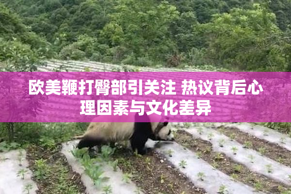 欧美鞭打臀部引关注 热议背后心理因素与文化差异