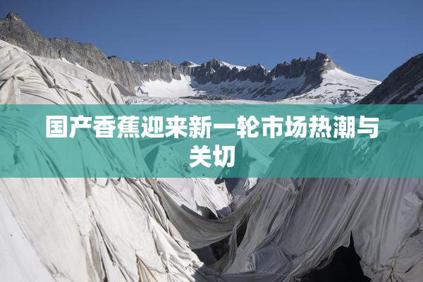 国产香蕉迎来新一轮市场热潮与关切